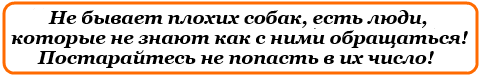 Не бывает плохих собак, есть люди, которые не знают как с ними обращаться